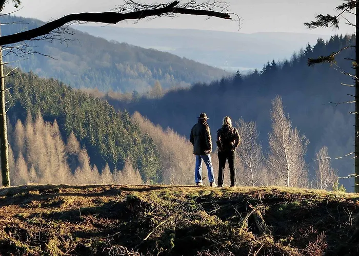 Ydillic Forest - Terasse - Wifi - Ausblick